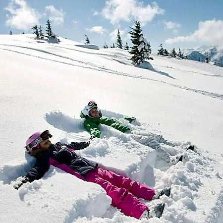 Familien- Und Wellnesshotel Hanneshof 4* Kleinarl