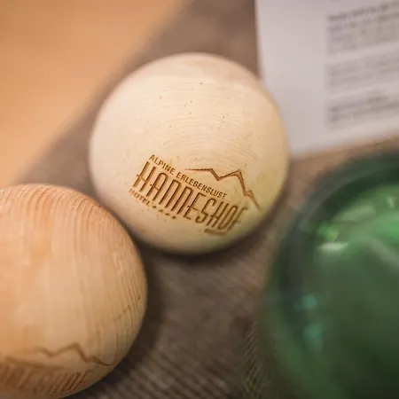 Hotell Familien- Und Wellnesshotel Hanneshof 4*