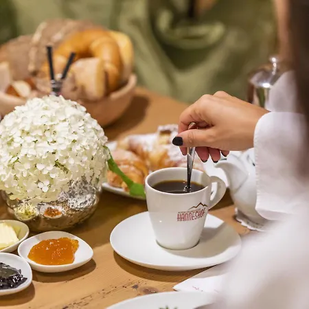 Hotell Familien- Und Wellnesshotel Hanneshof Kleinarl