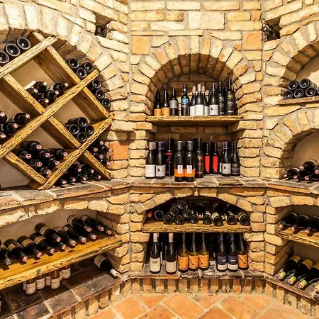 Hotell Familien- Und Wellnesshotel Hanneshof Kleinarl